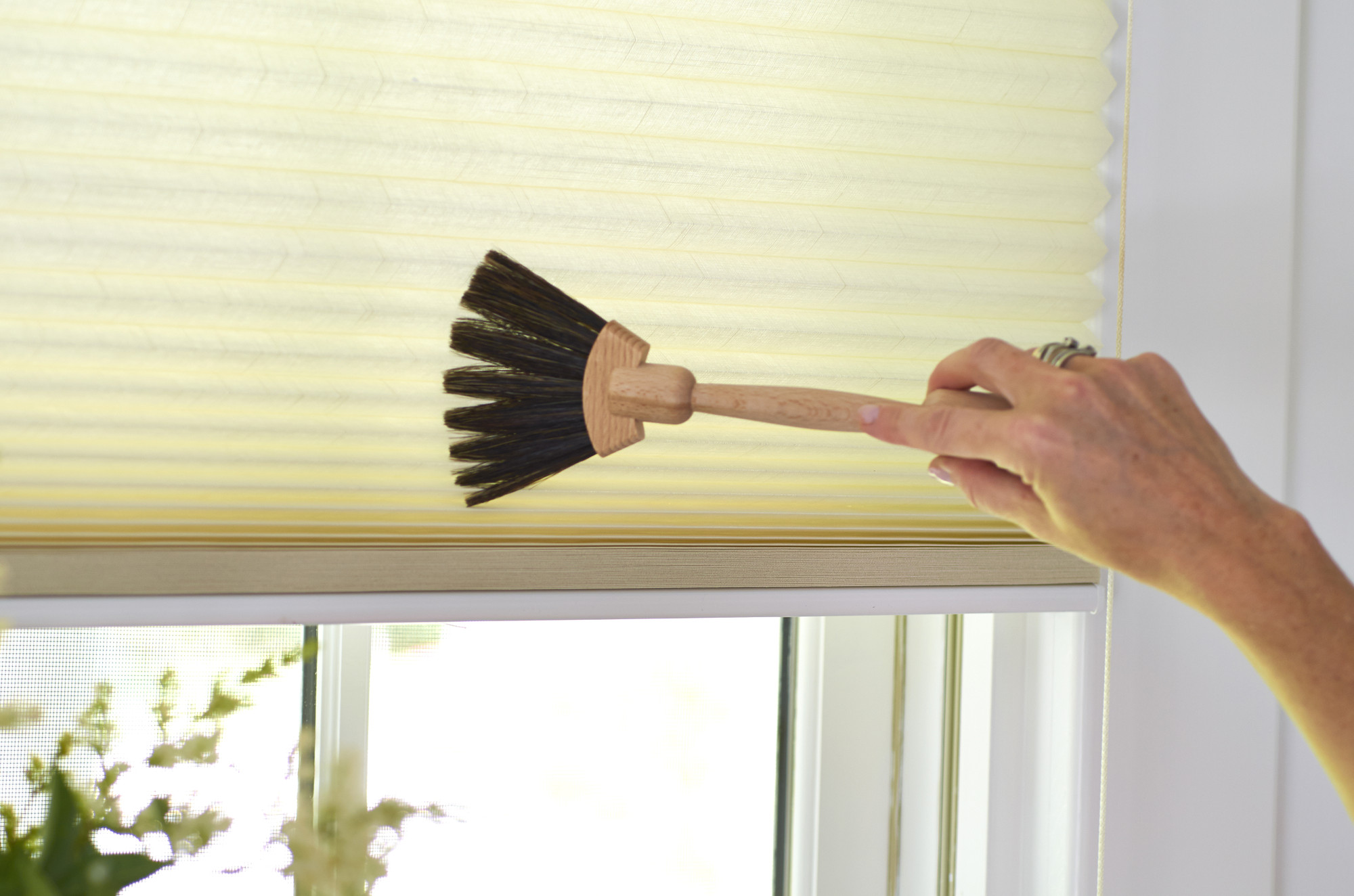 Window Blinds