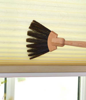 CMSPage_Spring Forward Household Tips_ONE_SIZE_IMAGE_01