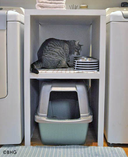CMSPage_How-To | Clean Pet Messes At Home_ONE_SIZE_IMAGE_01