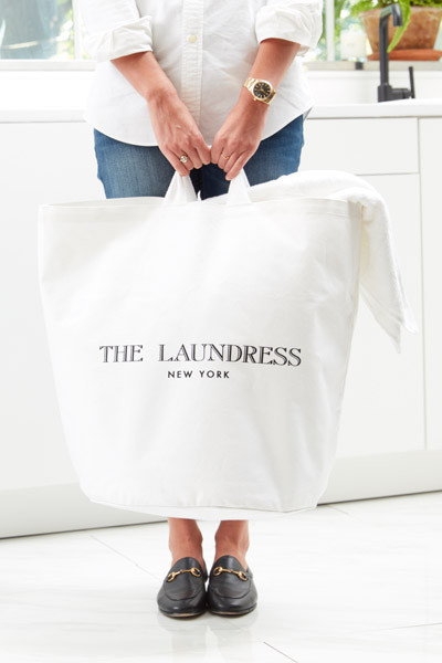 model holding hamper tote