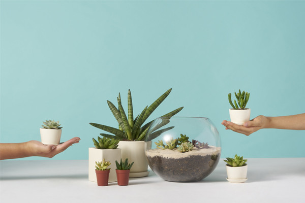 how to clean flower pots