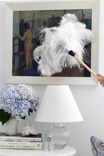 the laundress feather duster